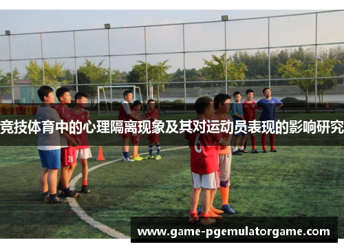竞技体育中的心理隔离现象及其对运动员表现的影响研究