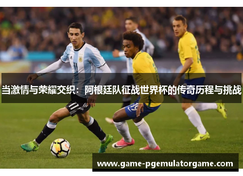 当激情与荣耀交织：阿根廷队征战世界杯的传奇历程与挑战