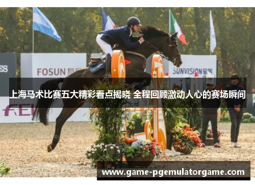 上海马术比赛五大精彩看点揭晓 全程回顾激动人心的赛场瞬间