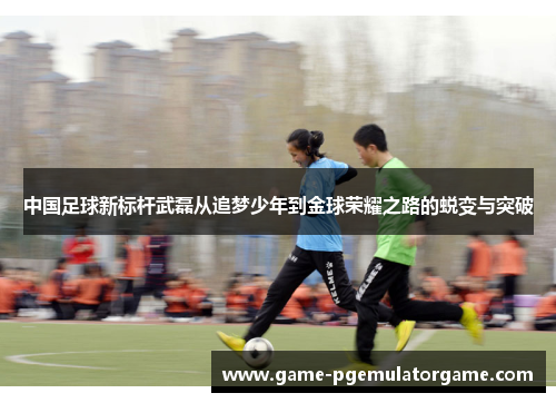 中国足球新标杆武磊从追梦少年到金球荣耀之路的蜕变与突破