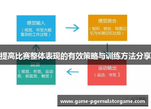 提高比赛整体表现的有效策略与训练方法分享