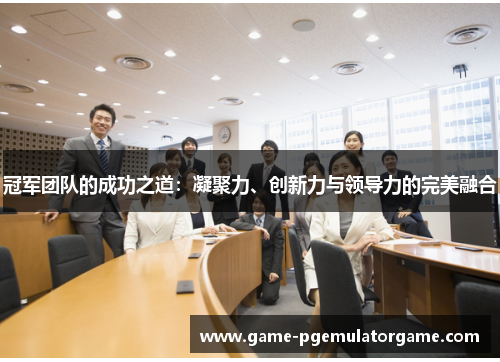 冠军团队的成功之道：凝聚力、创新力与领导力的完美融合