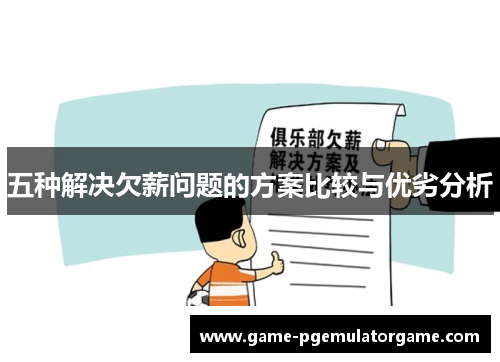 五种解决欠薪问题的方案比较与优劣分析