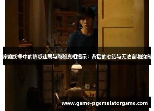 家庭纷争中的情感迷局与隐秘真相揭示：背后的心结与无法言说的痛