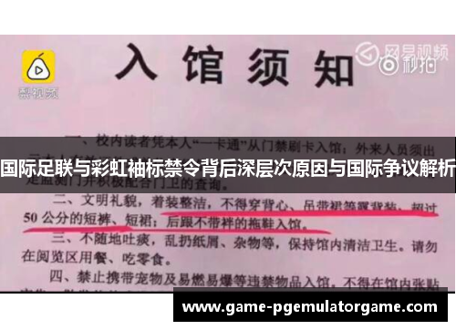 国际足联与彩虹袖标禁令背后深层次原因与国际争议解析