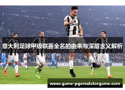 意大利足球甲级联赛全名的由来与深层含义解析