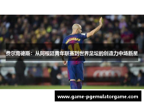 费尔南德斯：从阿根廷青年联赛到世界足坛的创造力中场新星