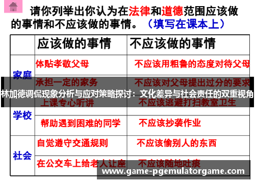 林加德调侃现象分析与应对策略探讨:文化差异与社会责任的双重视角 林加德调侃现象分析与应对策略探讨:文化差异与社会责任的双重视角