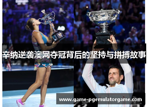 辛纳逆袭澳网夺冠背后的坚持与拼搏故事