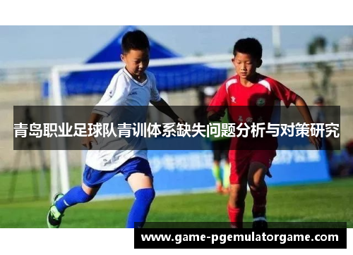 青岛职业足球队青训体系缺失问题分析与对策研究 青岛职业足球队青训体系缺失问题分析与对策研究