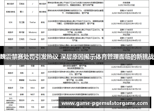 魏震禁赛处罚引发热议 深层原因揭示体育管理面临的新挑战