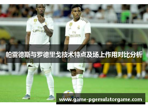 帕雷德斯与罗德里戈技术特点及场上作用对比分析