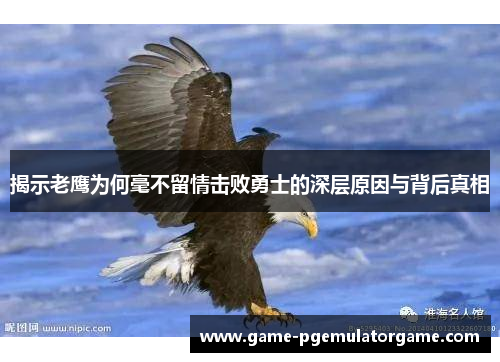 揭示老鹰为何毫不留情击败勇士的深层原因与背后真相 揭示老鹰为何毫不留情击败勇士的深层原因与背后真相