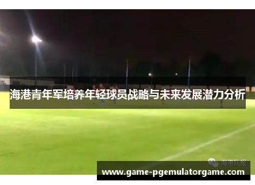 海港青年军培养年轻球员战略与未来发展潜力分析 海港青年军培养年轻球员战略与未来发展潜力分析