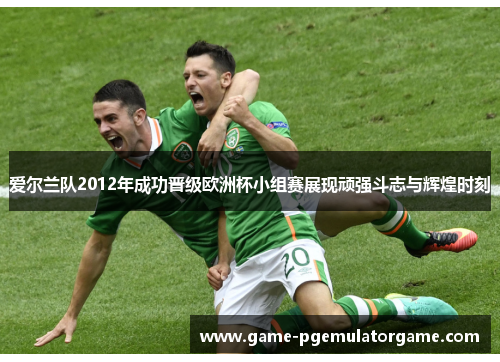 爱尔兰队2012年成功晋级欧洲杯小组赛展现顽强斗志与辉煌时刻 爱尔兰队2012年成功晋级欧洲杯小组赛展现顽强斗志与辉煌时刻